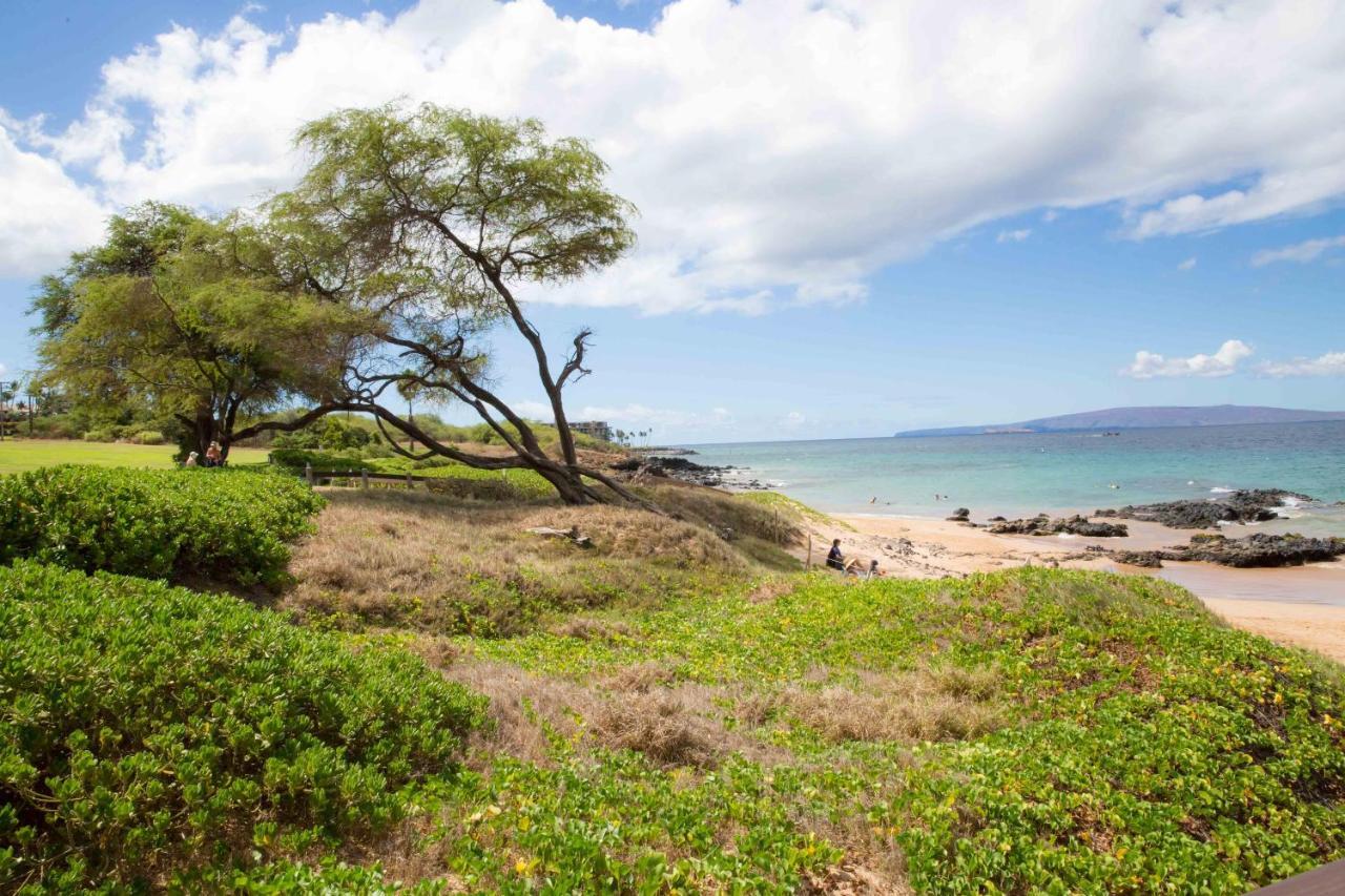 Villa Hale Kamaole 341 Wailea  Esterno foto